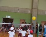 volly2